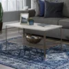 Center City Champagne Oak Coffee Table