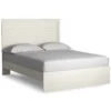 Signature Design By Ashley Dotson Panel Queen Bed